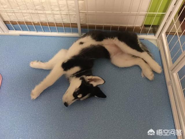 20221122003210_37551 20221122003210_37551