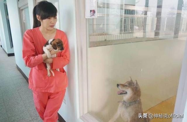 20221122010516_57277