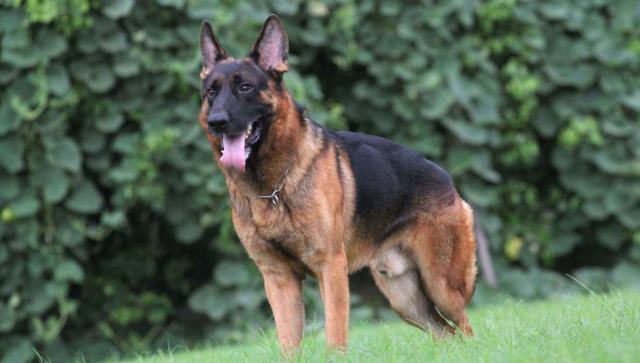 20221122010828_48683 20221122010828_48683