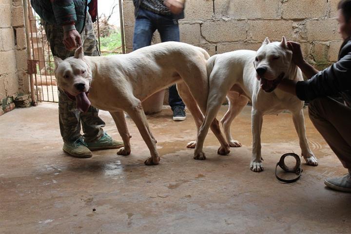 20221122010829_76082 20221122010829_76082