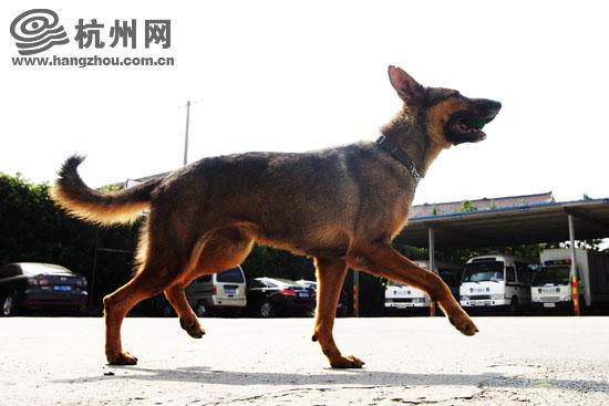 20221122013936_21102 20221122013936_21102