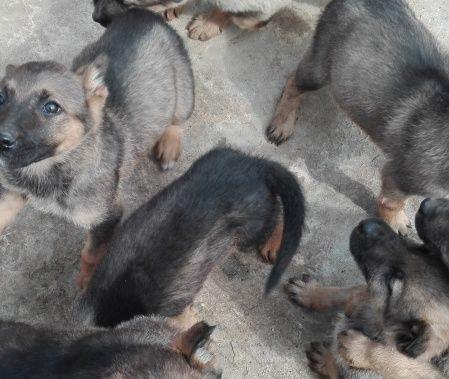 20221122013936_82332 20221122013936_82332