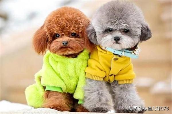 20221122014101_66316 20221122014101_66316