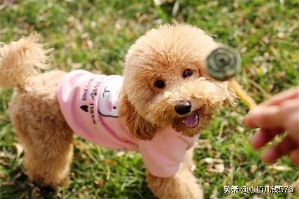 20221122014101_82783