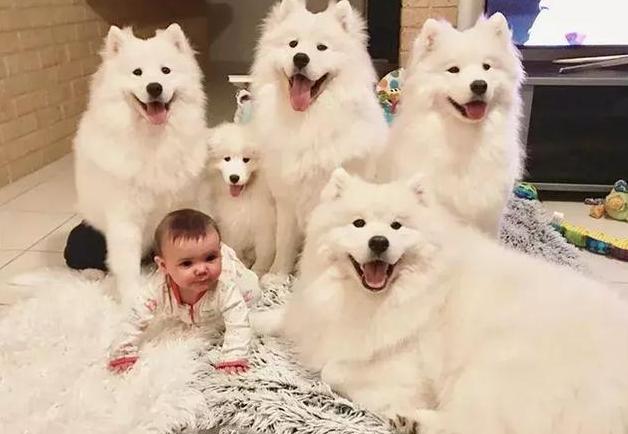 20221122083246_45933