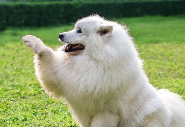 20221122083247_24417