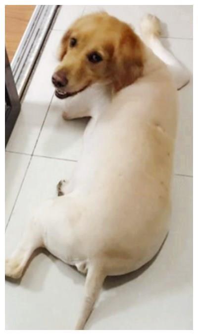 20221122083443_24546