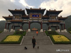 外滩能带狗吗(外滩能带宠物吗)-警犬训练器材厂家 _警犬训练用品_工作犬训练用品-南京开久警犬装备