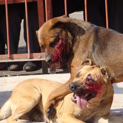 20221122090703_50215 20221122090703_50215