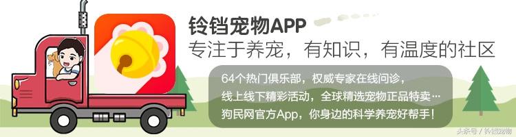 狗民网免费领养狗狗:怎么到狗民网申请领养狗 - 警犬训练器材厂家 _警犬训练用品_工作犬训练用品-南京开久警犬装备-警犬训练器材厂家 _警犬训练用品_工作犬训练用品-南京开久警犬装备