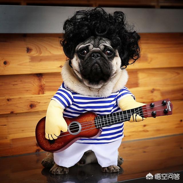 20221122093154_52067