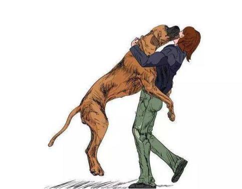 狗狗老是扑人怎么回事(狗狗老是挠耳朵怎么回事) - 警犬训练器材厂家 _警犬训练用品_工作犬训练用品-南京开久警犬装备-警犬训练器材厂家 _警犬训练用品_工作犬训练用品-南京开久警犬装备