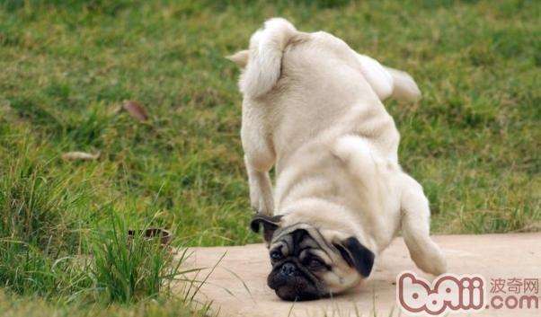 20221122103220_50088 20221122103220_50088