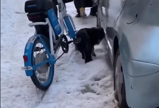 20221122103255_78860 20221122103255_78860