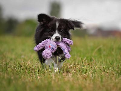 20221122103952_19149 20221122103952_19149