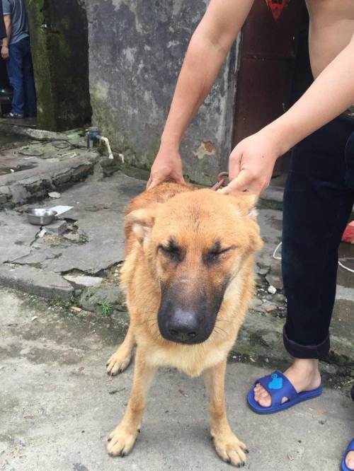 20221122112839_94699