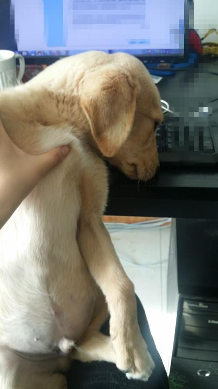 20221122115113_97108 20221122115113_97108