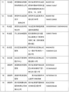 狗怎么打狂犬疫苗？狗在哪里打狂犬疫苗-警犬训练器材厂家 _警犬训练用品_工作犬训练用品-南京开久警犬装备