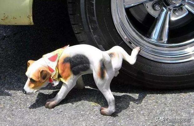 20221122123056_33338 20221122123056_33338