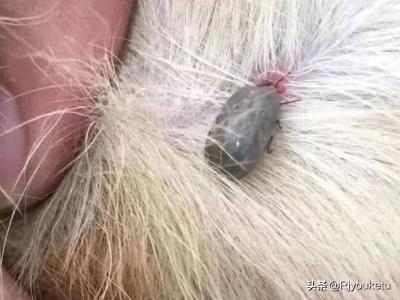 20221122123056_95074 20221122123056_95074