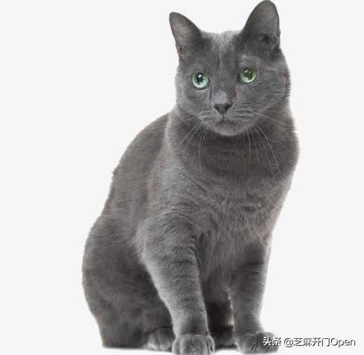 20221122124709_81067 20221122124709_81067