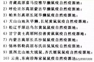 狗会传播鼠疫吗(鼠疫人与人之间能传播吗)-警犬训练器材厂家 _警犬训练用品_工作犬训练用品-南京开久警犬装备