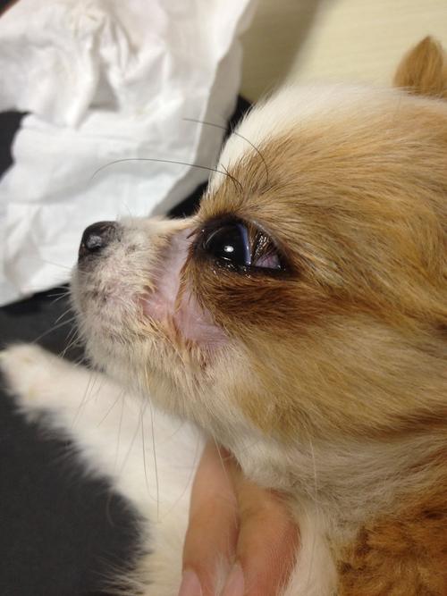 20221122125247_94650 20221122125247_94650