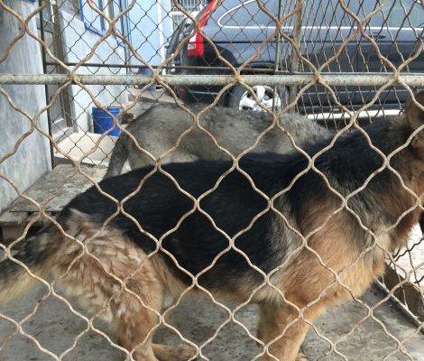 20221122131832_17369