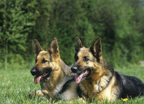 20221122131945_13593 20221122131945_13593