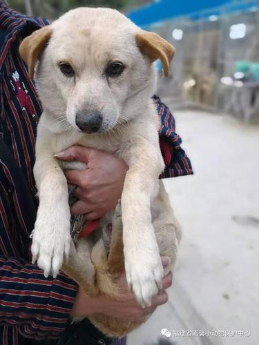 20221122132815_24684