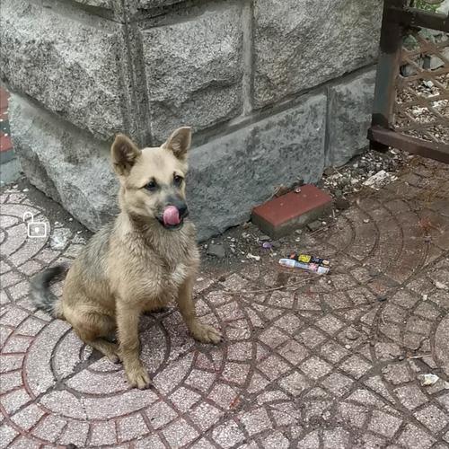 20221122132815_39819