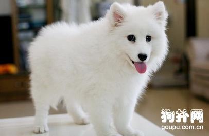 20221122133057_17513