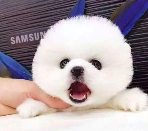 20221122133733_75934 20221122133733_75934