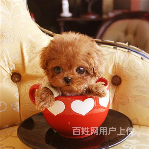 20221122135011_53750