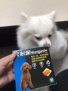 犬心保好不好(暖心保好不好)-警犬训练器材厂家 _警犬训练用品_工作犬训练用品-南京开久警犬装备