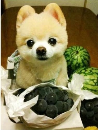 20221122142411_11059