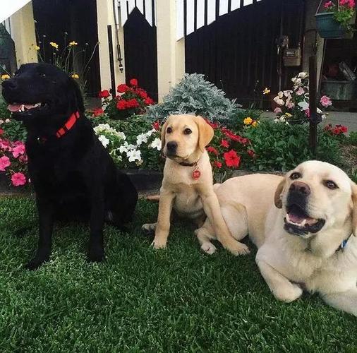 20221122144209_58760 20221122144209_58760