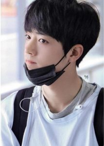 肖战柴犬(肖战柴犬是什么意思)-警犬训练器材厂家 _警犬训练用品_工作犬训练用品-南京开久警犬装备