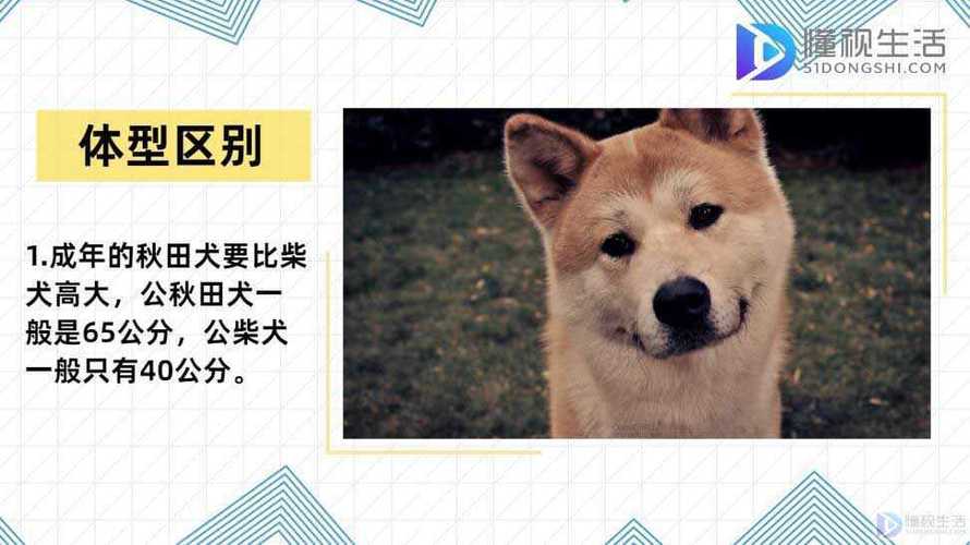 20221122145735_76865