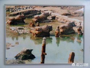 狗狗太快了像打桩机(狗狗的速度像打桩机一样)-警犬训练器材厂家 _警犬训练用品_工作犬训练用品-南京开久警犬装备