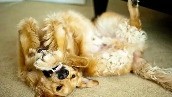 20221122152915_78904 20221122152915_78904