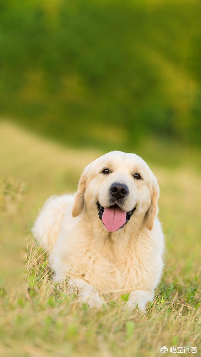 20221122152950_60475