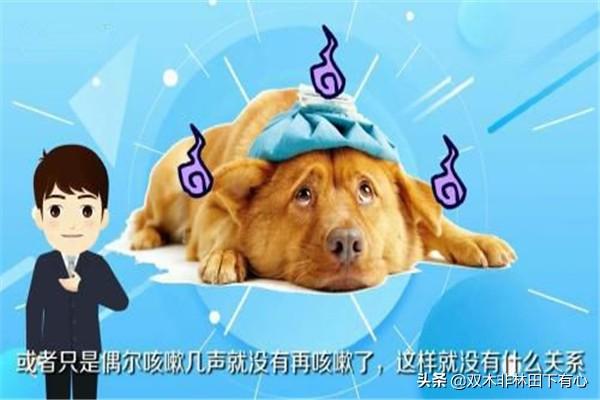 20221122153550_77911