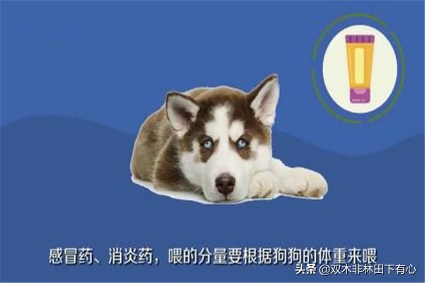 20221122153551_73518