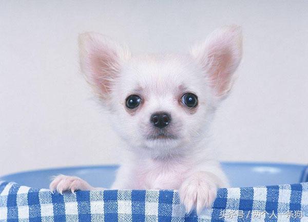 20221122154124_71595 20221122154124_71595