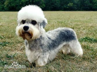 20221122155227_91496 20221122155227_91496