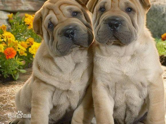 20221122155228_96323 20221122155228_96323