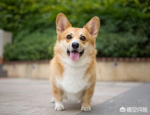 20221122164533_77110 20221122164533_77110