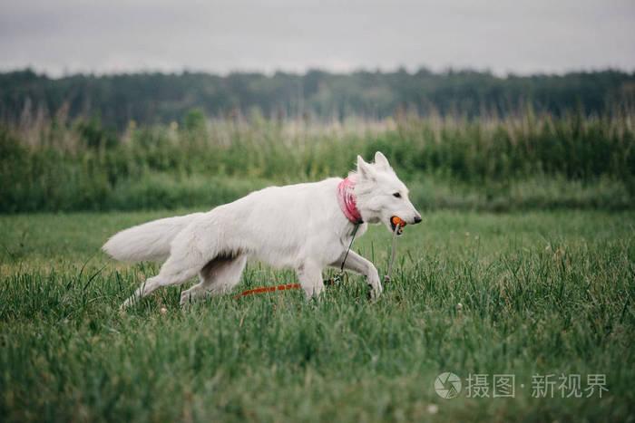 20221122180120_14299