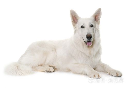 20221122180120_33439